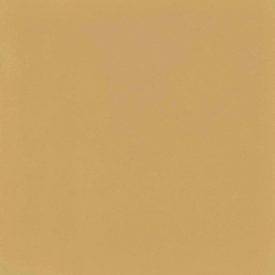 D_SEGNI COLORE MUSTARD 200X200 10 | Regia