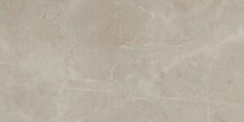 EVOLUTIONMARBLE TAFU RT 300X600 10,5 | Regia